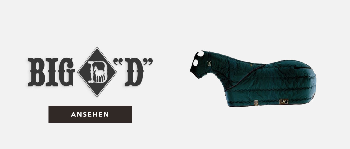 TACK Reitsport. Sie lieben den Pferdesport? Wir auch! Darum bieten wir Ihnen Top Reitsportbedarf für Reiter, Pferd und Reitstall, denn Reitsport verbindet.